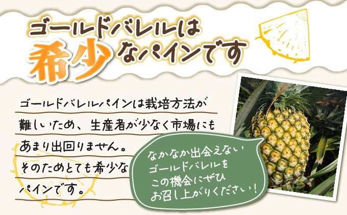 2025年 先行予約 パイン ゴールドバレル 約3kg 2～4玉 ますみ農園 甘み たっぷり パイナップル 果物 フルーツ