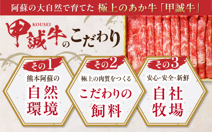 【全3回定期便】熊本県産 あか牛 リブローススライスセット 400g 冷凍 専用タレ付き あか牛のたれ付き すき焼き しゃぶしゃぶ 熊本和牛【有限会社 三協畜産】[YCG057] 