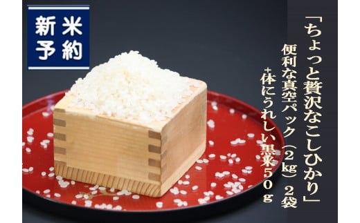 【新米受付・令和8年産米】NA4170 【新潟県岩船産】特別栽培米・ちょっと贅沢なこしひかり4kg＆古代米50ｇセット