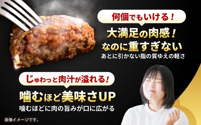 和牛 長崎和牛 ハンバーグ はんばーぐ 小分け