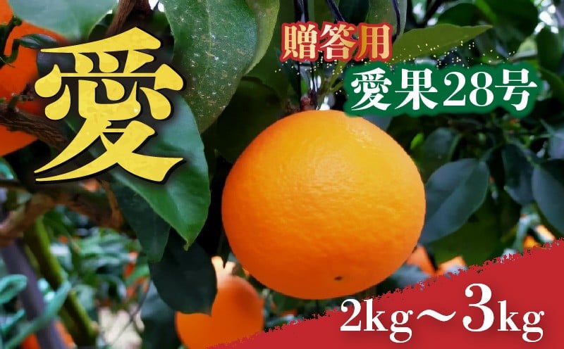 
                  愛媛 みかん 愛果28号 贈答用 2kg / 3kg あいか 【先行予約 2025年12月上旬から発送】 |  紅まどんな と同品種 柑橘 みかん まどんな 柑橘 みかん 果物  おすすめ 高級 人気 お取り寄せ グルメ ギフト 贈り物 贈答 ご当地 送料無料 愛媛県 松山市
                