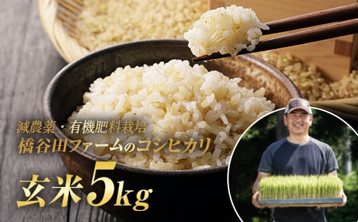 令和7年産 減農薬・有機肥料栽培コシヒカリ 玄米 5kg 米 お米 おこめ ご飯 ごはん 福島県 西会津町 F4D-1542