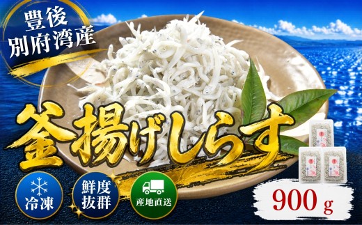 豊後別府湾釜揚げしらす 計 900g（300g×3p） 国産 添加物不使用 ／ 釜揚げしらす かまあげしらす カマアゲシラス 小分け 国産 しらす シラス  釜揚げ シラス丼 海鮮丼 おつまみ 冷凍配送 冷凍 スピード発送 スピード ＜108-213＞