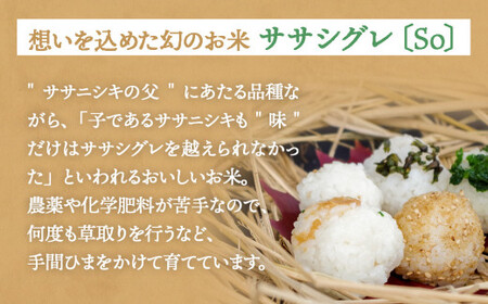 ササシグレ 白米 9kg ササニシキ 白米 9kg 食べ比べ ささしぐれ ささにしき お米 コメ こめ おこめ ご飯 ごはん 希少 優しい 甘み