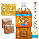 【ふるさと納税】【隔月2回定期便】健康ミネラル麦茶 2L×6本(合計2ケース)【伊藤園 麦茶 むぎ茶 ミネラル ノンカフェイン カフェインゼロ】A3-R071383