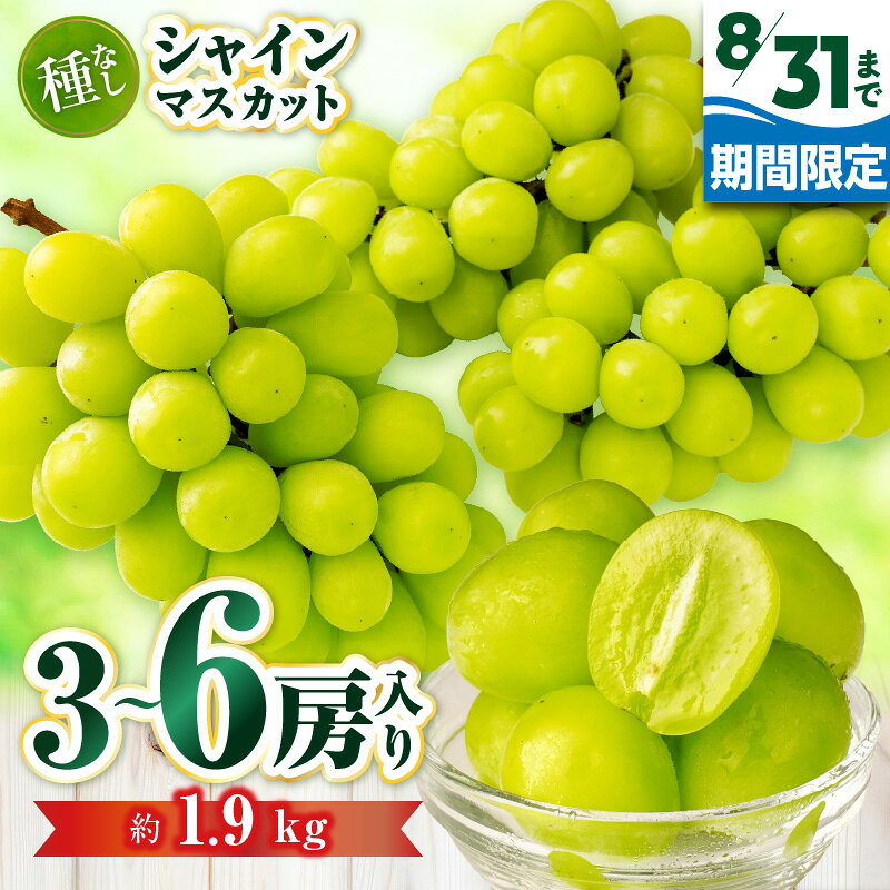 【ふるさと納税】【8月31日（夏休み）までの期間限定価格!!】シャインマスカット　約1.9kg | シャインマスカット ぶどう ブドウ 果物 フルーツ 期間限定 くだもの 国産 ギフト 旬 人気 種なし 皮ごと食べられる 先行予約 季節限定 おすすめ 旬の果物 香川 三木町