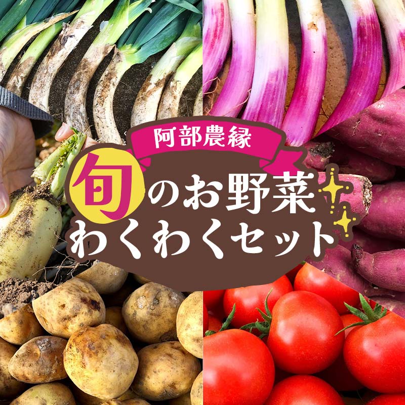 【ふるさと納税】阿部農縁 旬のお野菜わくわくセット（約10種類） F7X-0029