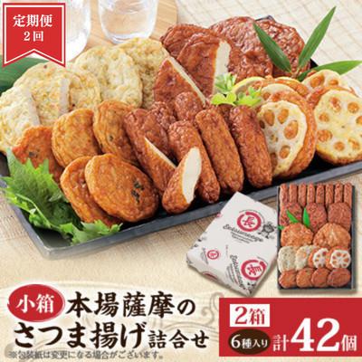 ふるさと納税 枕崎市 【毎月定期便】本場さつま揚げ 詰め合わせ【6種類×2箱(小箱)】 NN0-0001全2回
