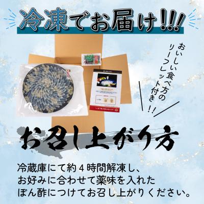 ふるさと納税 下関市 【ふぐ刺し】 とらふぐ刺し 4~5人前 冷凍 合計 130g BV023 |  | 03