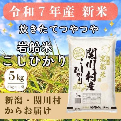 ふるさと納税 関川村 炊きたてつやつや R7年産 新潟関川村産 岩船米こしひかり 5kg [星山米店]