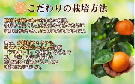 タカじいの 有田 みかん 3kg （良品 サイズおまかせ2S～2L） / 温州みかん 有田みかん 甘い 家庭用 和歌山 柑橘 ※11月順次発送【krs004-c-3-11A】