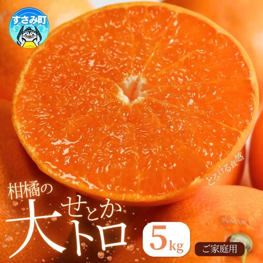 せとか 柑橘王国和歌山のせとか ご家庭用約5kg【uot748A】