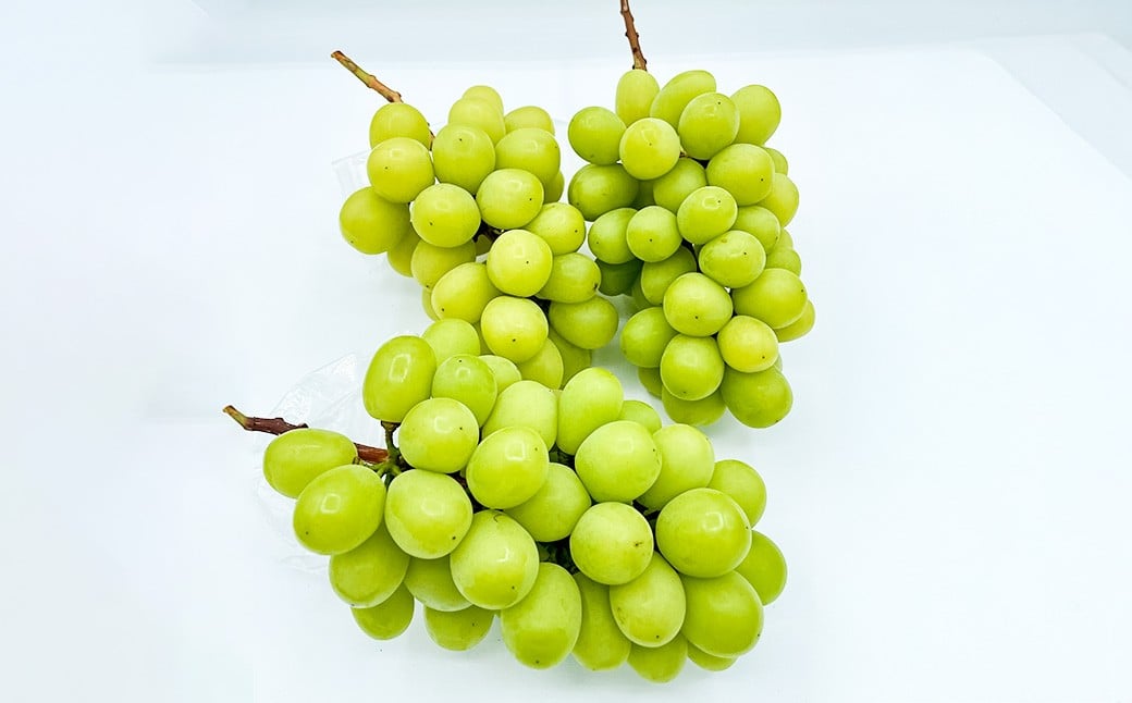 訳あり シャインマスカット 1～3房 1kg