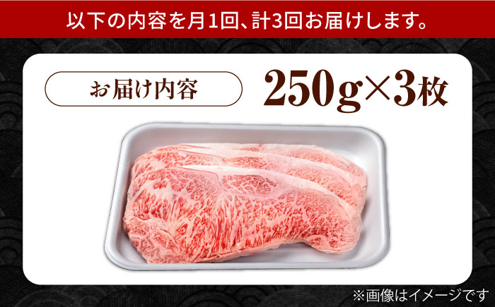 【3回定期便】佐賀県産 黒毛和牛 贅沢 サーロインステーキ 250g×3枚（計750g）【株式会社いろは精肉店】/黒毛和牛 和牛 牛肉 肉 お肉 贅沢 高級 ステーキサーロイン 牛肉  [IAG090