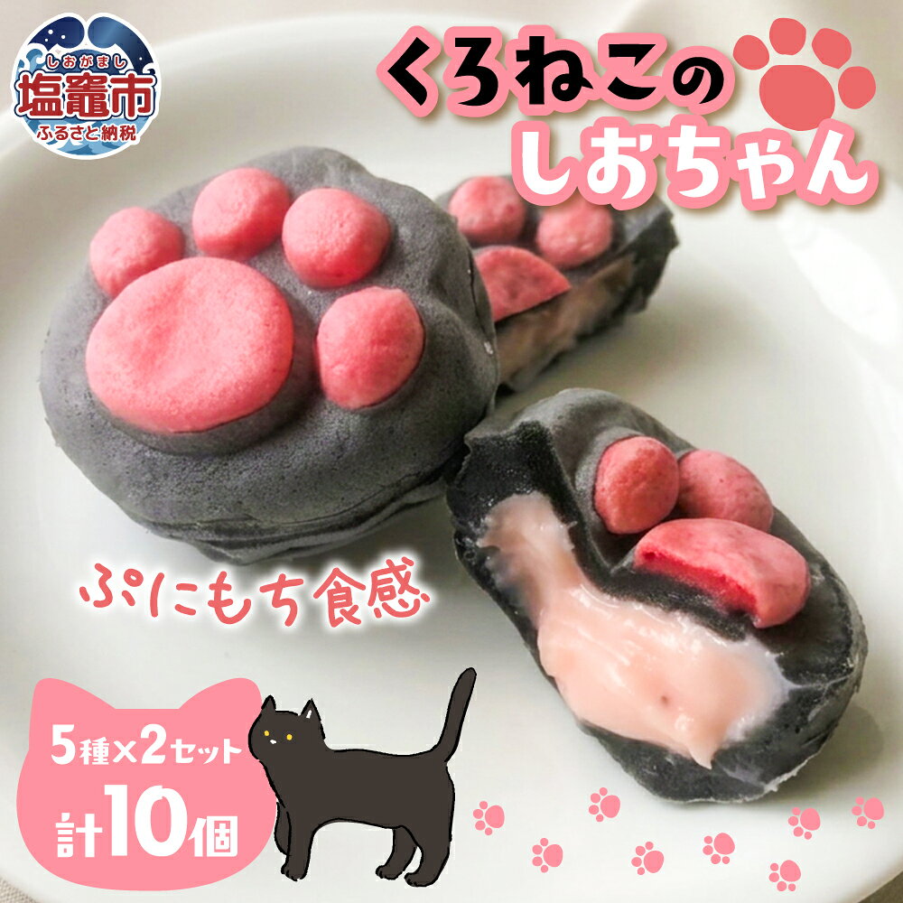 【ふるさと納税】くろねこのしおちゃん 10個入 | nk00002