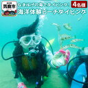 【ふるさと納税】【なまはげの海でダイビング！！】 海洋体験ビーチダイビング 4名様 秋田県 男鹿半島 男鹿市
