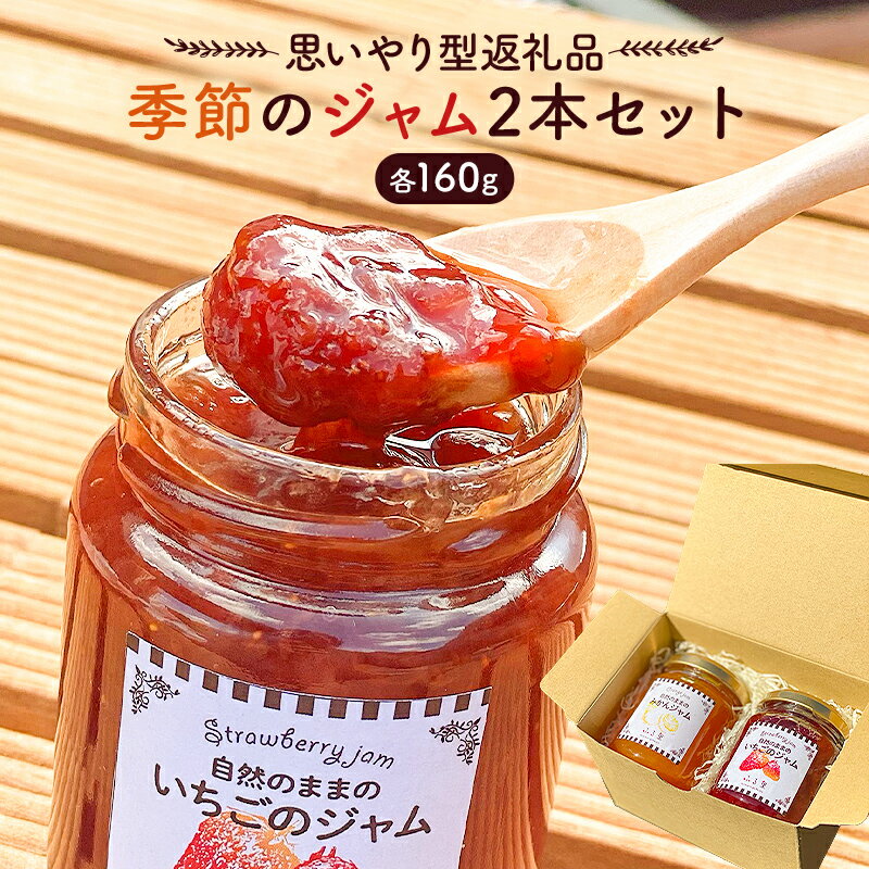 【ふるさと納税】 【思いやり型返礼品】 季節のジャム2本セット （160ml×2本） 千葉県 南房総市 フルーツ 自然の風味 パン ジャムティー ヨーグルト 料理 隠し味 季節 いちご イチジク みかん ゆず マーマレード 梅 プラム ブルーベリー 梨 りんご 送料無料