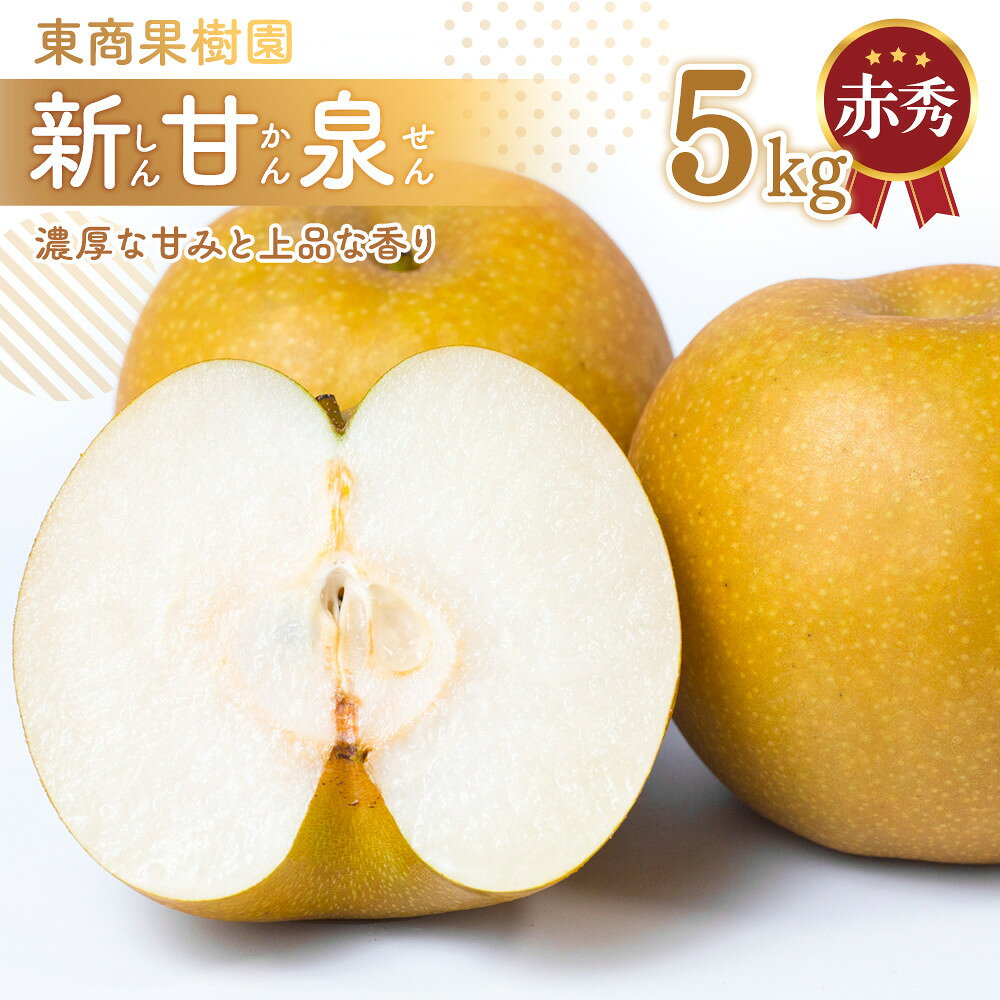 【ふるさと納税】東商果樹園 新甘泉 (赤秀) 5kg【8月下旬以降お届け】 | 梨 なし 鳥取県 おすすめ おいしい 果物 くだもの フルーツ