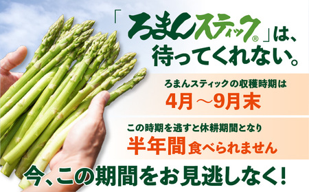 ロマンス農園 ろまんスティック Lサイズ 5kg T049-003 野菜