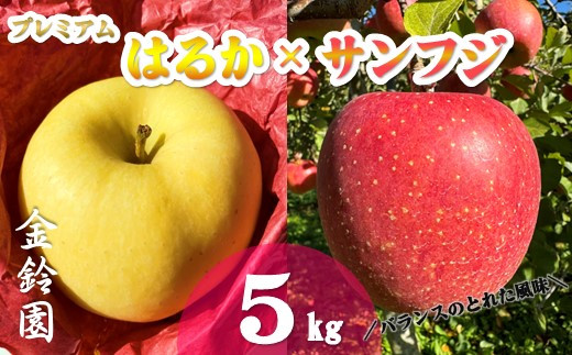 ＼ 予約受付 11月下旬発送開始予定／【北上市産 りんご 】プレミアムはるか ＆ サンフジ [ 厳選 詰合せ セット ] 5キロ (約13～18玉) 林檎 リンゴ 国産 はるか サンふじ 産地直送 フルーツ 果物 岩手県 北上市 E0254