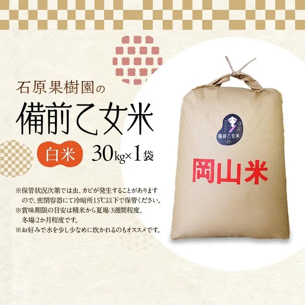 備前乙女米 白米 乳酸菌栽培 石原果樹園 岡山県産 備前乙女米【30kg×1袋】