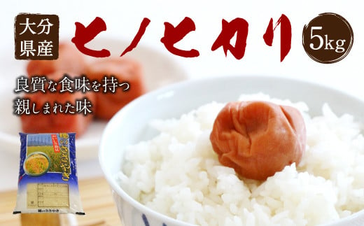 【令和6年産新米】大分県産 ヒノヒカリ 5kg 【2024年10月下旬発送開始予定】