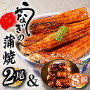 【ふるさと納税】うなぎの蒲焼2尾＆大人気のチーズハンバーグ8個【新宮町プラチナセット】鰻 たれ 山椒 冷凍 レンジ 湯せん 簡単 個包装. A1436