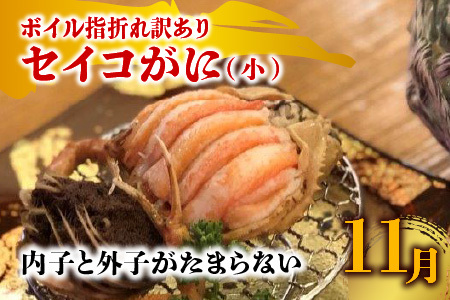 【先行予約】【年2回定期便】越前がに・せいこがに食べ比べコースA [G-4353]