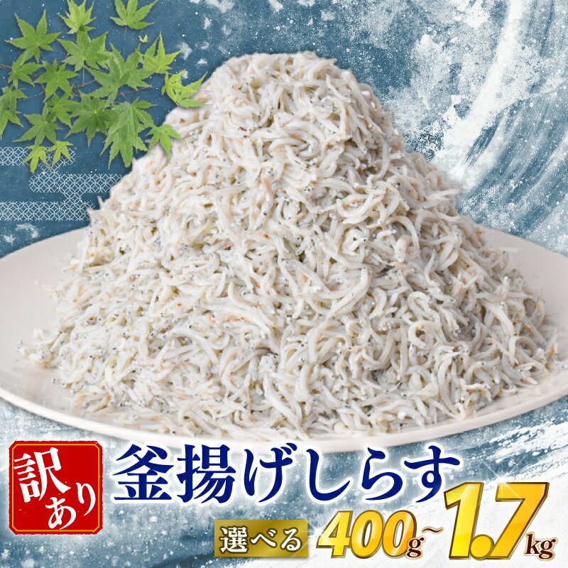 【ふるさと納税】 【10/1より価格改定予定】 訳あり しらす 400g ～1.7kg 国産 冷凍 釜揚げしらす 魚 海鮮 規格外 不揃い シラス ご飯 サラダ 魚介 チャーハン パスタ ピザ シラス丼 料理 酒 おつまみ 産地直送 国産しらす 人気 ランキング 5000円 ギフト 贈答 高知県 安芸市
