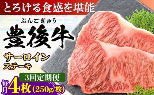 【全3回定期便】おおいた豊後牛 サーロインステーキ 1kg (250g×4枚) 日田市 / 株式会社MEAT PLUS 牛肉 おおいた豊後牛 おおいた 豊後牛 黒毛和牛 サーロイン サーロインステーキ ステーキ 国産 和牛 [AREI059]