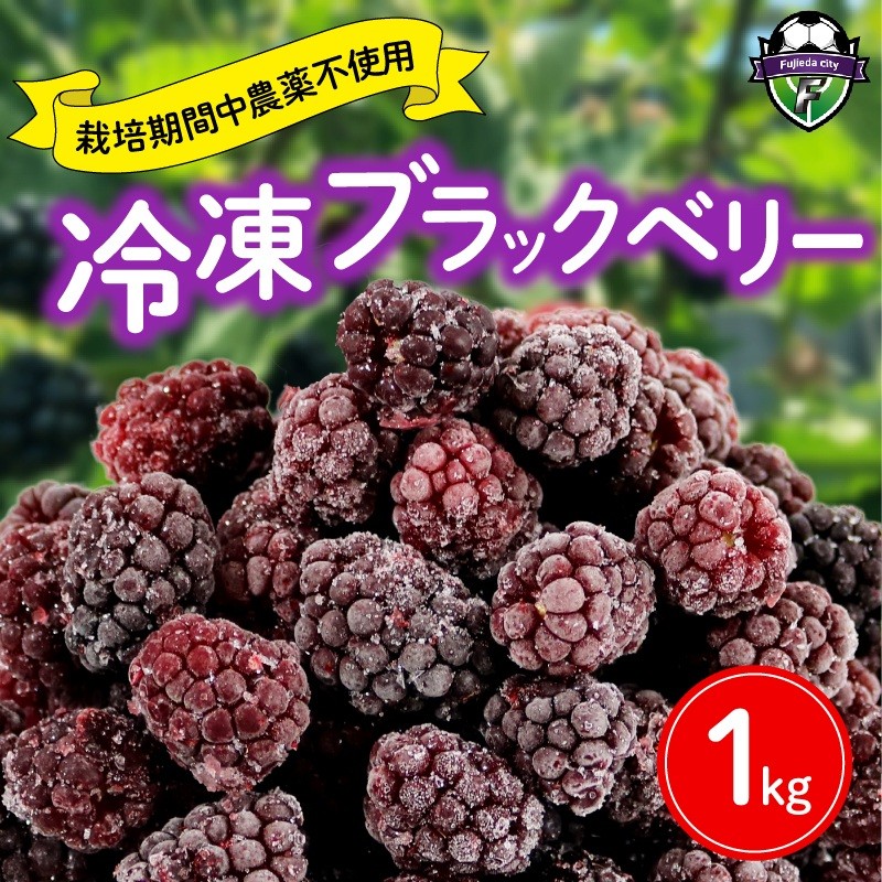 
                  ブラックベリー 1kg 冷凍 国産 フルーツ 果物 イチゴ いちご 苺 木苺 デザート スイーツ ジャム 手摘み 静岡県 藤枝市
                