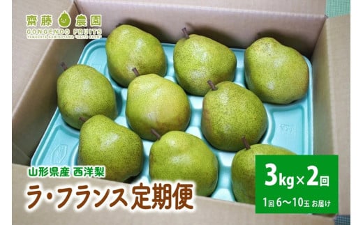 【定期便：全２回】ラ・フランス　３ｋｇ　ご家庭用を２回お届け　0037-2514