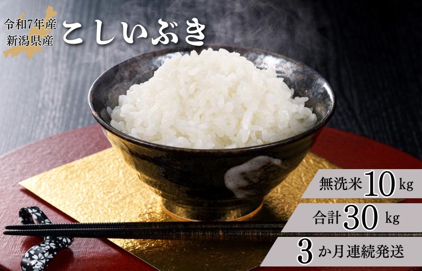 【3か月定期便】R7年産 新潟県産 こしいぶき 10kg （無洗米）