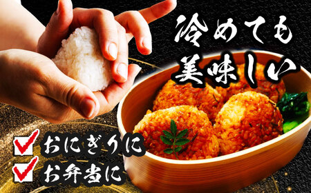 【3回定期便】 【1月発送開始】 あいちのかおり 白米 10kg×3ヵ月 愛西市 / 脇野コンバイン お米 ご飯 精米 先行予約 [AECP007-1]