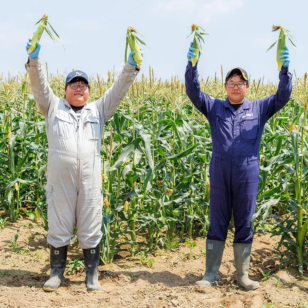 2026年産 北海道産 ホワイトコーン 計10本 北海道 上士幌町 須田農場 野菜 白い スイートコーン とうもろこし トウモロコシ 産地直送 冷蔵便 ◆2026年08月配送予定