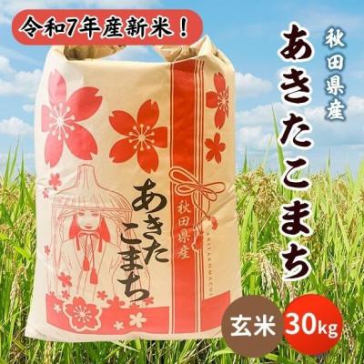 ふるさと納税 潟上市 新米!令和7年産 秋田県産あきたこまち 30kg(玄米)