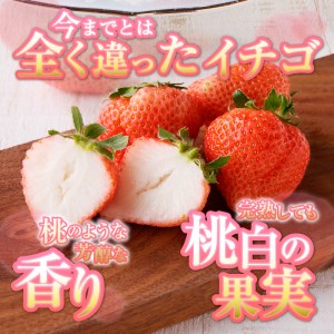 a10-586　いちご 「 桃薫 」～ 桃の香り ＆ 食感 ～4パック