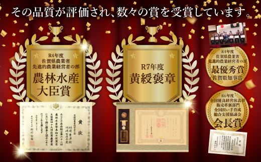 【2026年11月中旬頃～12月頃配送予定】プレミアム黒酢みかん 約5kg (M / Lサイズいずれか ) のし対応 温州みかん B-910