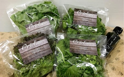 【6回定期便】【Ortolano】野菜 定期便 サラダ ドレッシング 詰め合わせ セット 野菜 岡山県 倉敷市