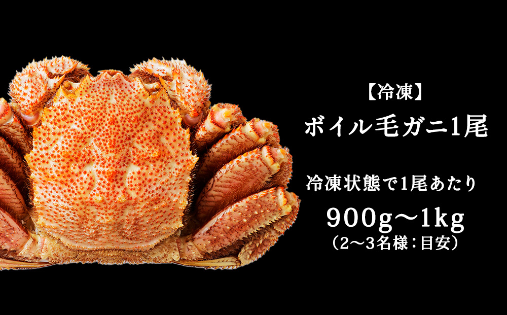 【ボイル済み急速冷凍】身がパンパンに詰まった稚内産毛ガニ900g～1kg（超大サイズ）×1尾