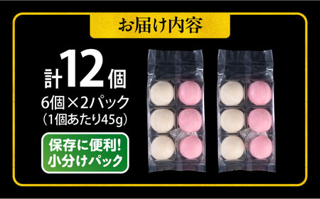 【先行予約】【訳あり】丸餅 6個入り×2パック 12個入り もち 餅 【有限会社さかくら総本家】 [AKEI007]