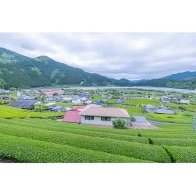 ふるさと納税 川根本町 「川根の茶」ペットボトル500ml×24本入り |  | 02