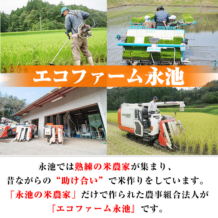 A4-06 令和5年産 特別栽培米 永池ひのひかり(計10kg・5kg×2袋)【エコファーム永池】