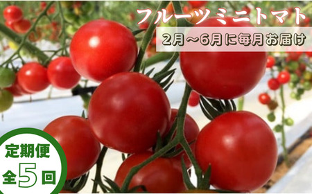 【定期便全5回 2月～6月毎月お届け】四万十川源流域で育まれた 絶品 フルーツミニトマト 1kg 【 フルーツトマト とまと 甘い 濃厚 美味しい 箱詰め 糖度8%～12% 高知 中土佐 】