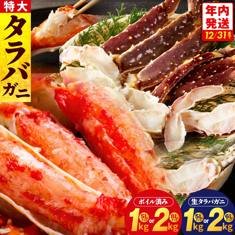 【ふるさと納税】★高評価 ボイルタラバガニ 生タラバガニ 1kg / 2kg 訳あり サイズ不揃い 特大 サイズ タラバガニ かに ボイル ボイル済 脚 お手軽 簡単 弾力 旨み カニ鍋 焼きガニ カニ雑炊 魚介類 海の幸 海鮮 お取り寄せ 冷凍 関西 大阪府 泉佐野市 送料無料 KGCP