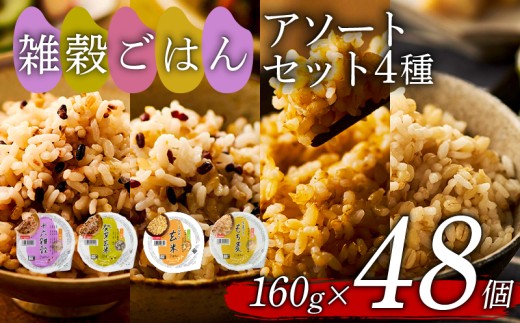 雑穀ごはん アソートセット 4種 160g 48個 十六雑穀 発芽玄米 玄米 もち麦 パックごはん パックご飯 ごはんパック ご飯パック パックライス パック 16雑穀 雑穀 米 ごはん ご飯 こめ ライス 備蓄 保存 防災 レンジ 温めるだけ レンチン 簡単 調理 栄養 レトルト インスタント 国産 セット 人気 おいしい 48 48食 おくさま印 大阪 松原