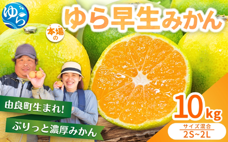 ゆら早生みかん 10kg 2S～2Lサイズ混合 ※2026年10月中旬頃～10月下旬頃に順次発送予定 【nktn003-r-10】 