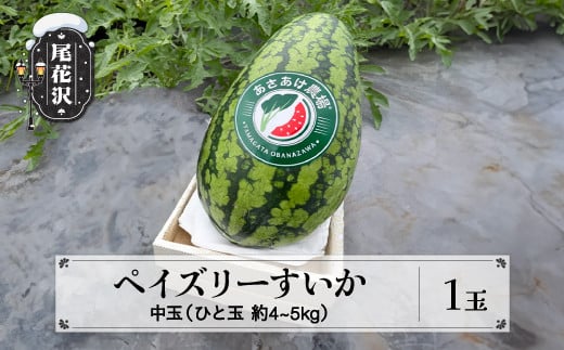 
先行予約 尾花沢産 ペイズリーすいか 約4~5kg×1玉 令和6年産 2024年産 7月中旬~8月中旬頃発送 山形 中玉 スイカ すいか 西瓜 果物 くだもの フルーツ 数量限定 ぺいずりー 送料無料 あさあけ農場 お中元 ギフト 贈答 an-supsx1 ※沖縄・離島への配送不可
