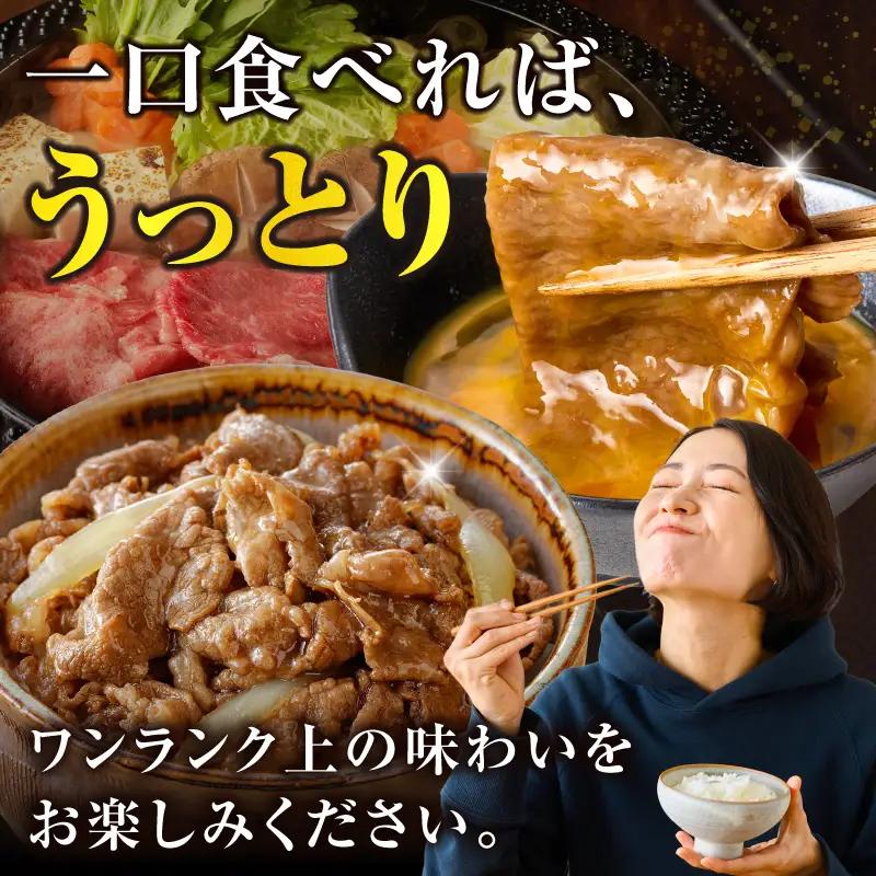 【畜産農家応援】≪肉質等級4等級以上≫宮崎県産黒毛和牛霜降り肩ローススライス(計600g) 肉 牛 牛肉 おかず 国産_T030-1906