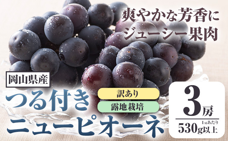 
258.岡山県産 訳ありつる付きニューピオーネ 3房 530g以上 葡萄 果物 厳選出荷 スイーツ フルーツ デザート 岡山県矢掛町《9月上旬-10月末頃に出荷予定(土日祝除く)》 種なしぶどう【配送不可地域あり】
